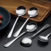 Soup Spoons 8-Piece Premium Stainless Steel Spoons round Spoons, Heavy-Weight
